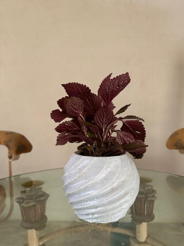 Dudi Spiral Planters (Marble Textured)