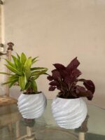 Dudi Spiral Planters (Marble Textured)
