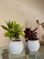 Dudi Spiral Planters (Marble Textured)