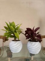 Dudi Spiral Planters (Marble Textured)